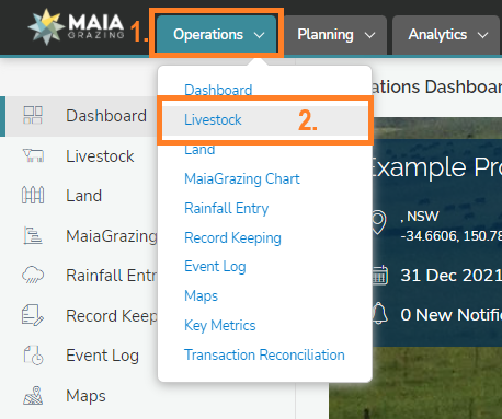 Operations - Livestock